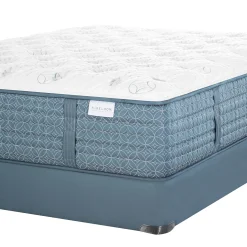 Aireloom Etude Extra Firm Mattress