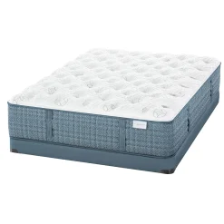 Aireloom Etude Extra Firm Mattress