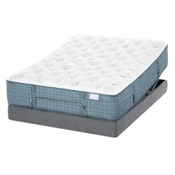 Aireloom Etude Extra Firm Mattress
