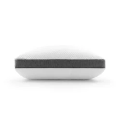 Beautyrest Absolute Relaxation Pillow
