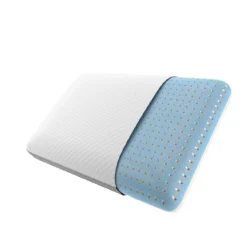 Beautyrest Absolute Relaxation Pillow