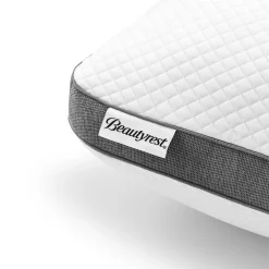 Beautyrest Absolute Relaxation Pillow