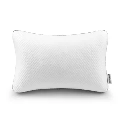 Beautyrest Absolute Relaxation Pillow