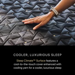 Beautyrest Black Series Four Firm Apex Top Hybrid Mattress