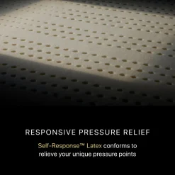 Beautyrest Black Series Four Plush Pillow Top Mattress