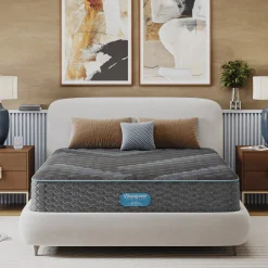 Beautyrest Dreamwell Kennedy Firm Mattress