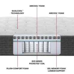 Beautyrest Elements® Bainbridge Plush Mattress