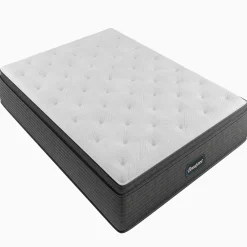 Beautyrest Elements® Chesapeake Plush Pillow Top Mattress