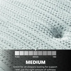Beautyrest Silver® BRS900 Medium Firm Mattress