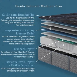 Beautyrest World Class Dreamwell Belmont Medium Mattress
