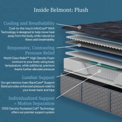 Beautyrest World Class Dreamwell Belmont Extra Firm Mattress