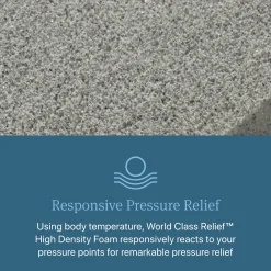 Beautyrest World Class Dreamwell Columbia Plush Pillow Top Mattress
