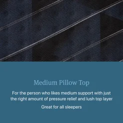 Beautyrest World Class Dreamwell Columbia Medium Pillow Top Mattress