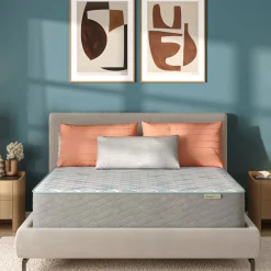 BeautySleep Behold Firm Mattress