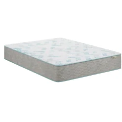 BeautySleep Behold Firm Mattress