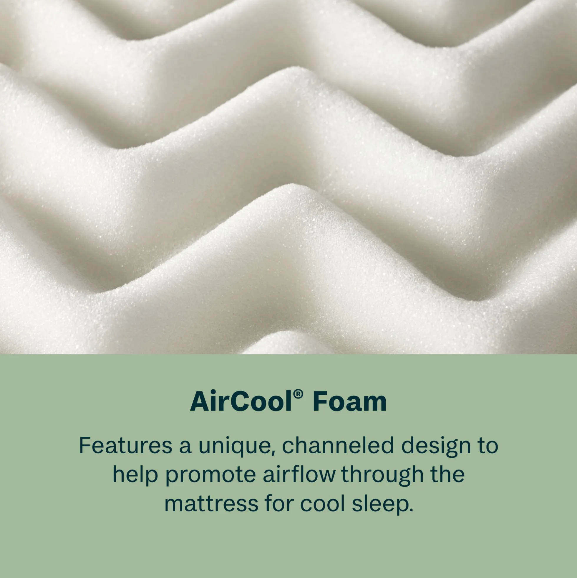 BeautySleep Dream Weaver Ultra Plush Pillow Top Mattress