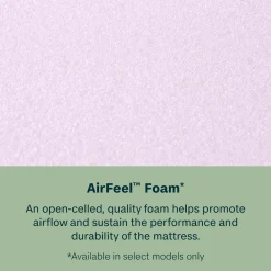 BeautySleep Dream Weaver Medium Pillow Top Mattress