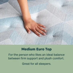 BeautySleep Dream Weaver Medium Euro Top Mattress