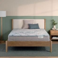 BeautySleep Dream Weaver 11.5" Firm Mattress