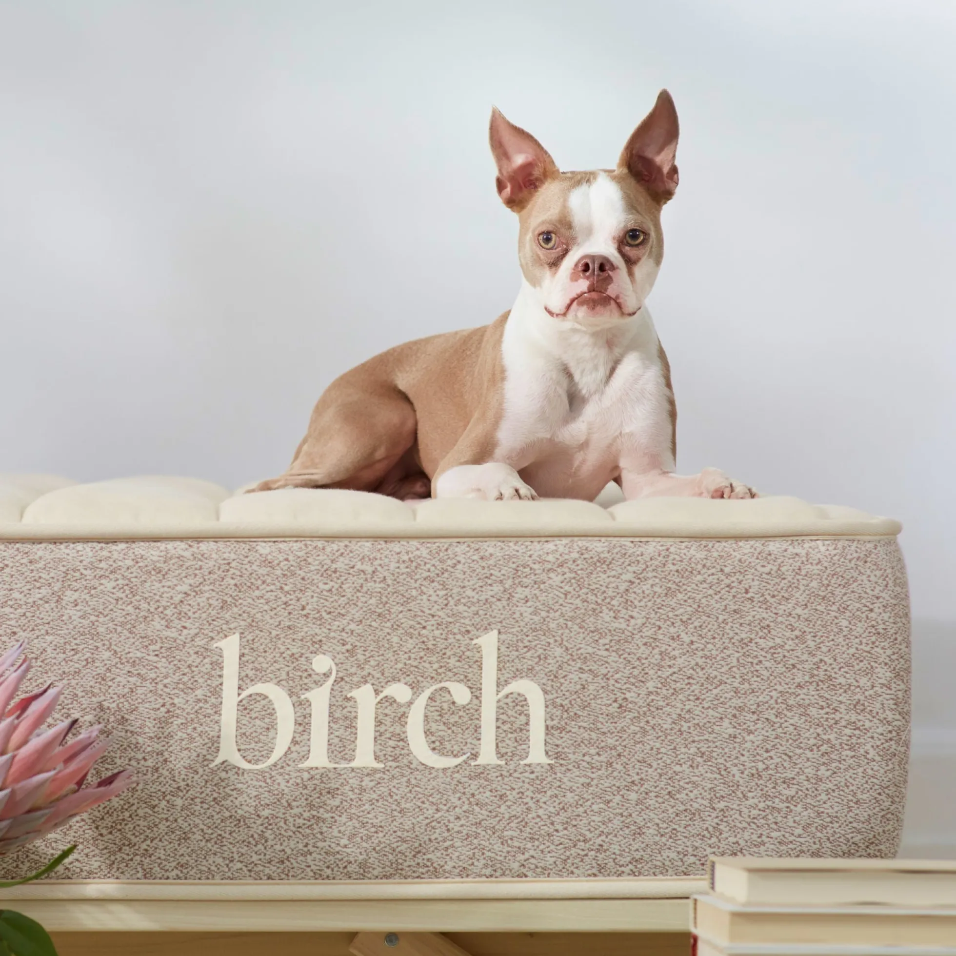 Birch Natural Mattress