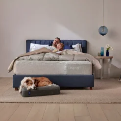 Casper Dog Bed