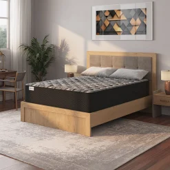 Mattress Warehouse Hotel Collection Double-Sided Firm Mattress