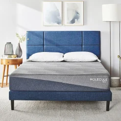 MOLECULE Reflex Firm Mattress