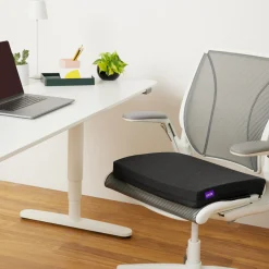 Purple Double Seat Cushion
