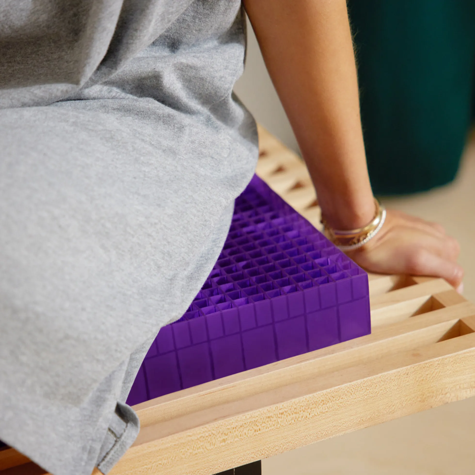 Purple Double Seat Cushion