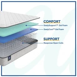Sealy Barchester Firm Mattress