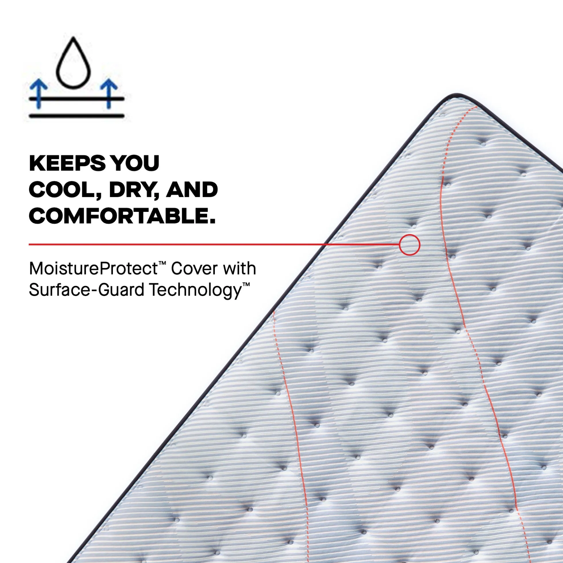 Sealy Posturepedic® Broad Knoll Medium Mattress