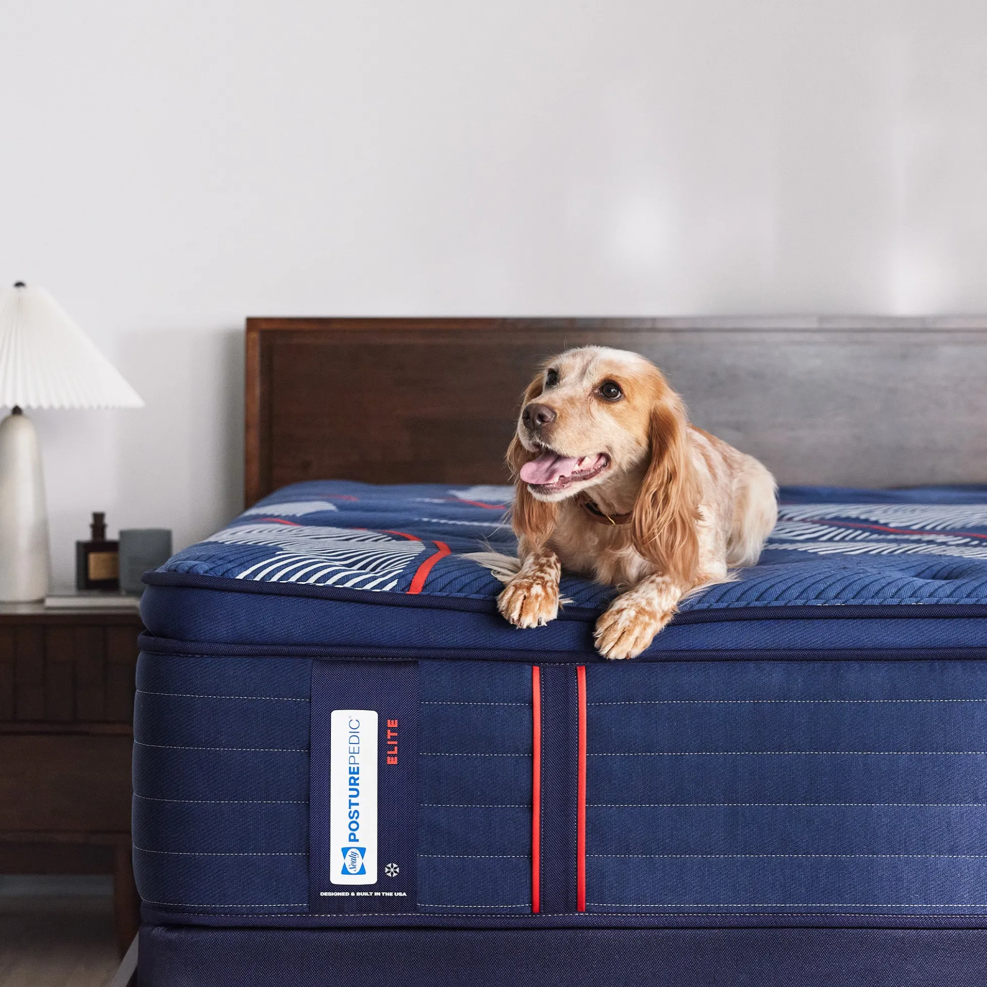 Sealy Posturepedic® Elite Albany Soft Euro Pillow Top Mattress