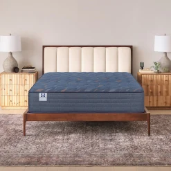 Sealy Special Edition Amberley Way Firm Mattress