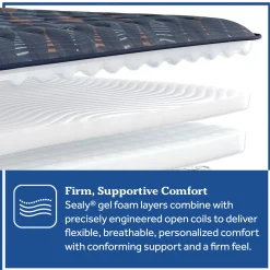 Sealy Special Edition Amberley Way Firm Mattress
