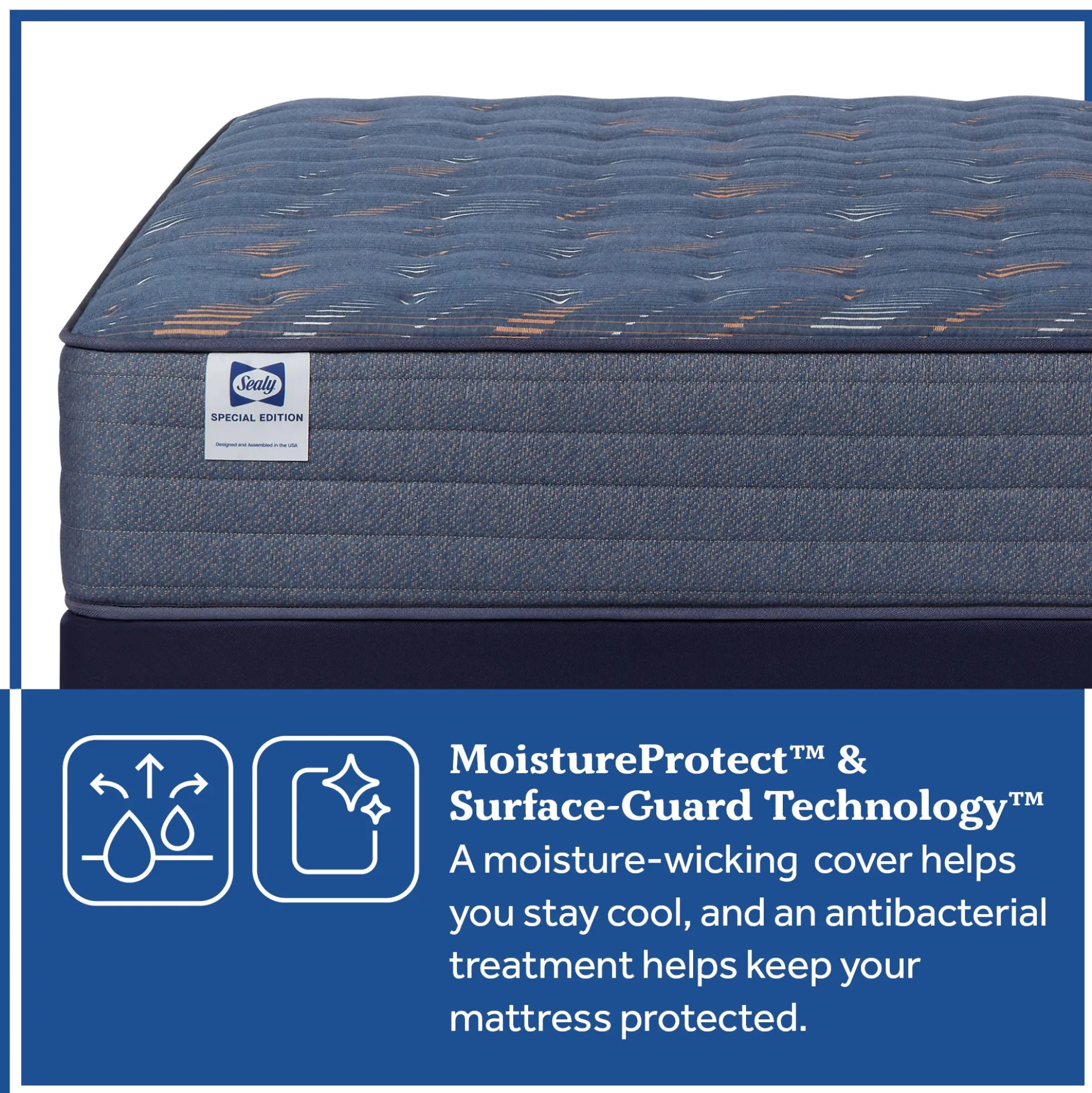 Sealy Special Edition Amberley Way Firm Mattress