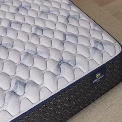 Serta Perfect Sleeper® Brookville Firm Mattress