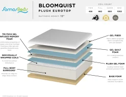 SomosBeds Bloomquist Plush Eurotop Mattress