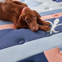Stearns & Foster Reserve Duet Firm Mattress