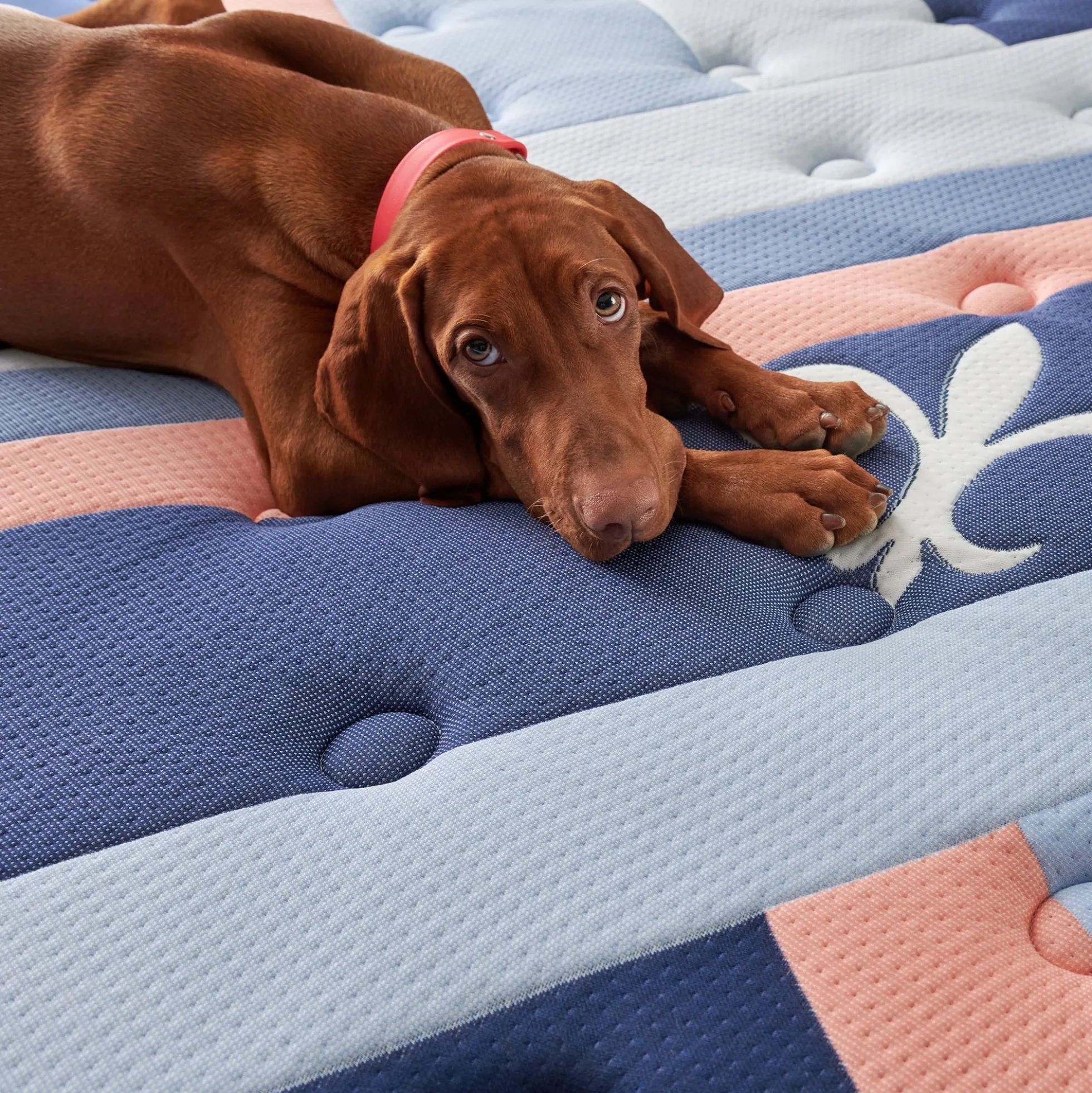 Stearns & Foster Reserve Duet Firm Mattress