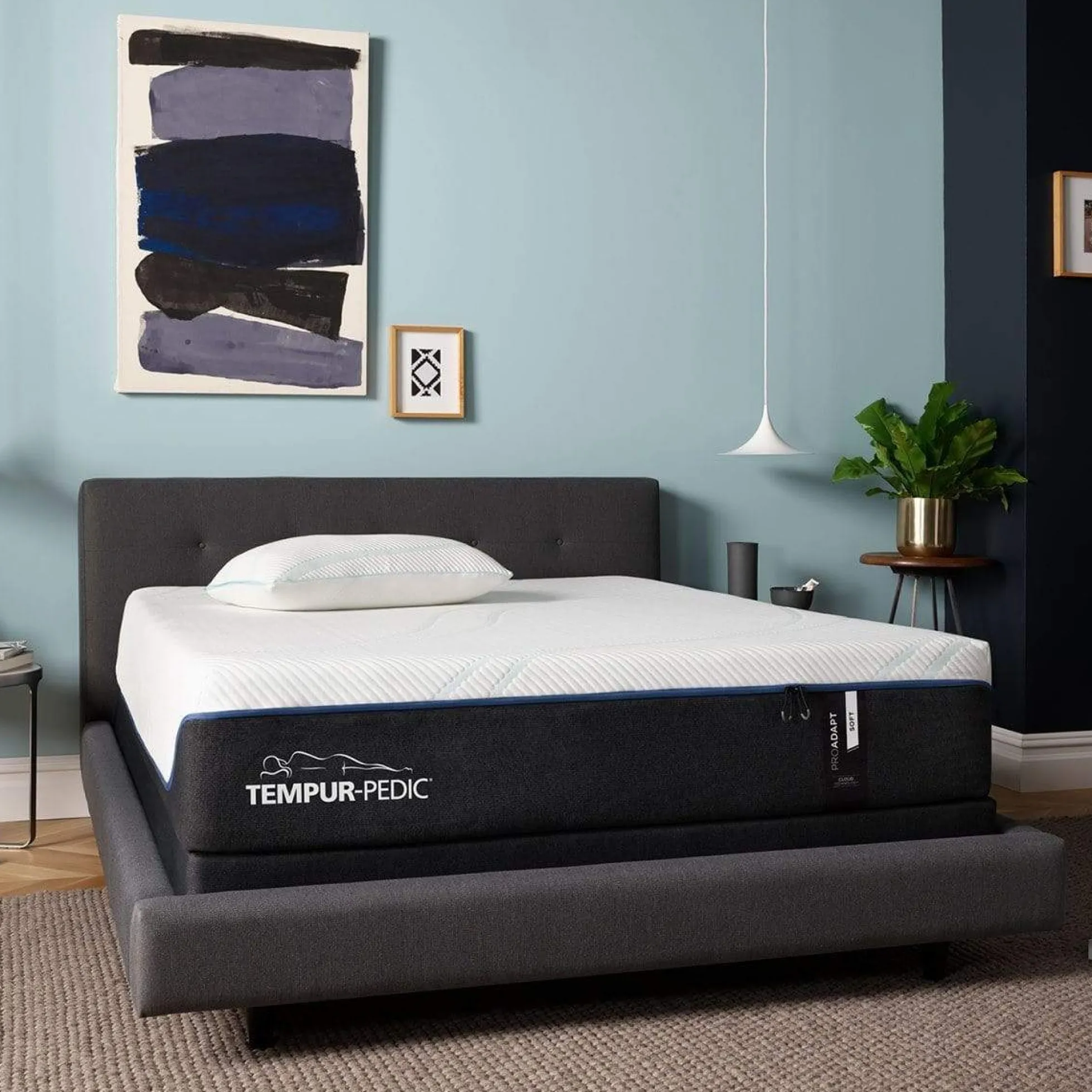 Tempur-Pedic TEMPUR-ProAdapt® Soft Mattress (Previous Generation)
